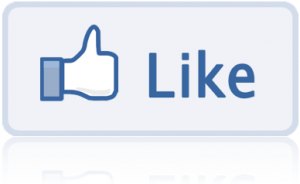 Добавляем виджет «Мне нравится» (Вконтакте) и Facebook Like Button (Фейсбук) на свой блог